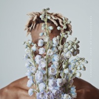 Y - Single - Caddy Pack