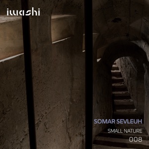 Small Nature - Single