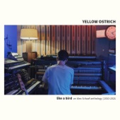 Yellow Ostrich - Mary (Alternate)