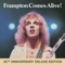 It's A Plain Shame - Peter Frampton lyrics