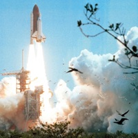 Holy - Single - Mayaewk