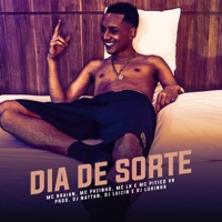 Dia de Sorte (feat. Mc Braian, Mc Pkzinho & Mc Lk) - Single - Dj Nattan