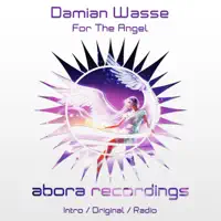 For the Angel (Intro Edit) — Damian Wasse
