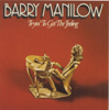 I Write the Songs - Barry Manilow