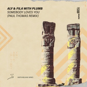 Somebody Loves You (Paul Thomas Remix) - Single