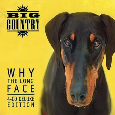 Why the Long Face Bonus Tracks & Demos - Big Country