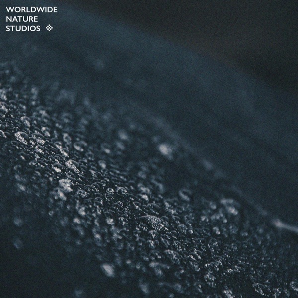 2021 Rain Sounds - EP