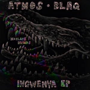 Ingwenya - Single
