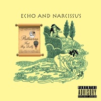 Echo and Narcissus (feat. Big Dubbz) - Single - Pattearns