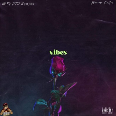 Vibes - Single