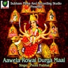 Aawela Rowai Durga Maai - Single