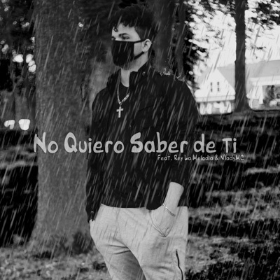 No Quiero Saber de Ti (feat. Rey la Melodía & Vladymc) - Single