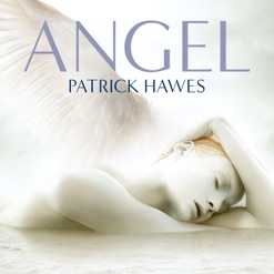 ANGEL cover art