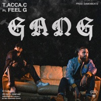 Gang (feat. Feel G) - Single - T.ACCA.C