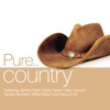 Take Me Home, Country Roads by John Denver iTunes Track 11