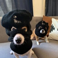 RACKS (feat. Adamn Killa) - Single - NADA5150