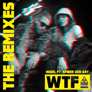 WTF (feat. Amber Van Day) [Tujamo Remix]