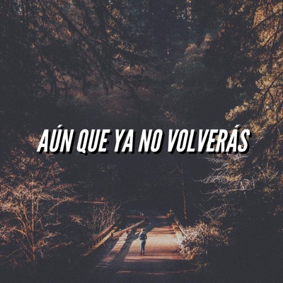 Aún que ya no volverás (feat. Melodico) - Single