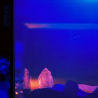 Cadillac - Single - Sports