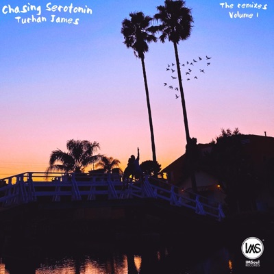 Chasing Serotonin (The Remixes, Vol. 1) - Single