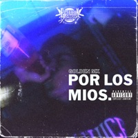 Por los Mios (feat. Escuadrón Familia) - Single - Golden MX
