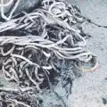 Beneath The Salt