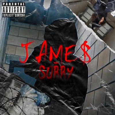 Sorry - Single