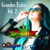 Grandes Éxitos, Vol. 2