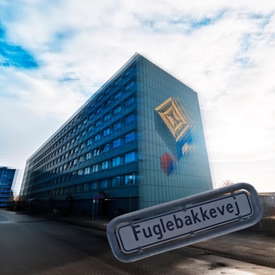 Fuglebakkevej - Single