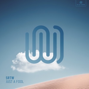 Just a Fool - Single