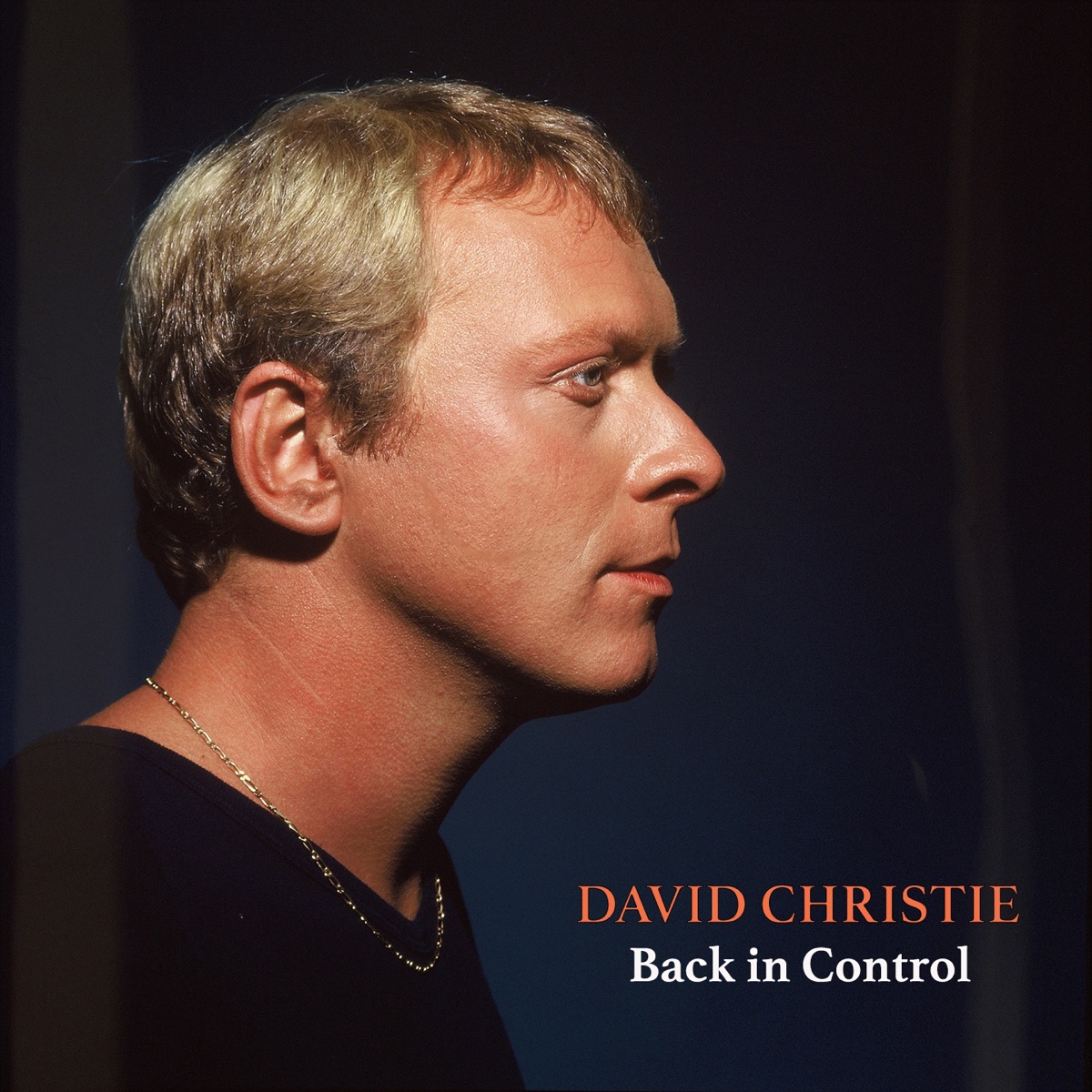 The Singles Collection by David Christie on Apple Music