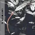 ø