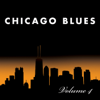 Chicago Blues (Delta Blues) Volume 4 - The CB Blues Band & Colin Banagan
