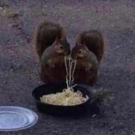 2007 But Ur iPod Has a Virus :/ prxybb