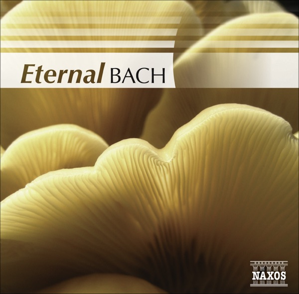 BACH: Eternal