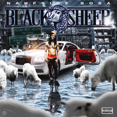 Black Sheep