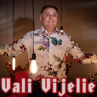 Song - Mare Petrecere (feat. Liviu Pustiu) - Vali Vijelie