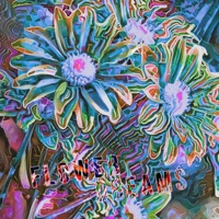 Flower Dreams - Single - Steezy