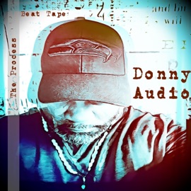 The Lights Donny Audio