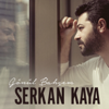 Serkan Kaya - Mesele artwork