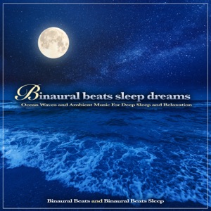 Binaural Sleep