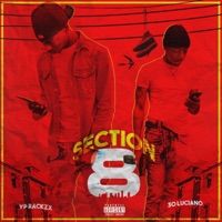Section 8 (feat. 30 Luciano) - Single - Yp Rackzx