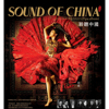 Zhao Cong - Sound of China  arte