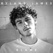 Blame artwork