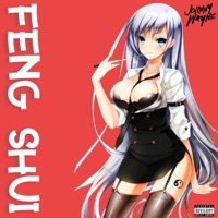 Feng Shui - Single - Johnny Wayne