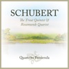 String Quartet No. 13 in A Minor, D. 804, "Rosamunde": II. Andante