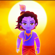 Krishna Flute - Vidhin Boda