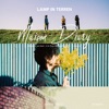 LAMP IN TERREN - By the Fireplace