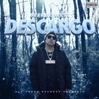 Descargo - Single - DeErre West