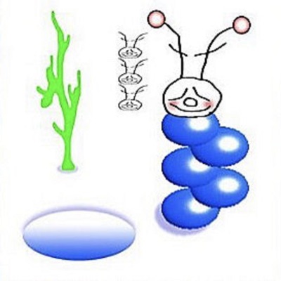 Fifa Twenty - Single